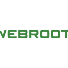 96% of SMBs Susceptible to External Cybersecurity Threats