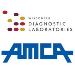 AMCA Data Breach Total Nears 25M as Wisconsin Diagnostic Laboratories Confirms 115K Record Breach