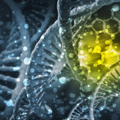 Researchers Describe Possible Synthetic DNA Supply Chain Attack