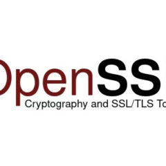 OpenSSL Downgrades Bug Severity to High and Releases Patches
