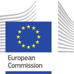 What the US Healthcare IT Industry Can Learn from the EU Digital Services Act