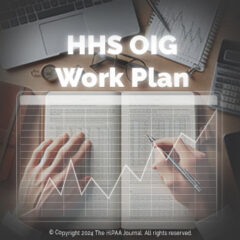 HHS OIG Work Plan