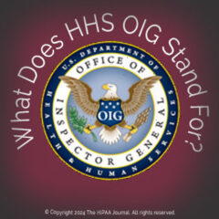 What Does HHS OIG Stand For?
